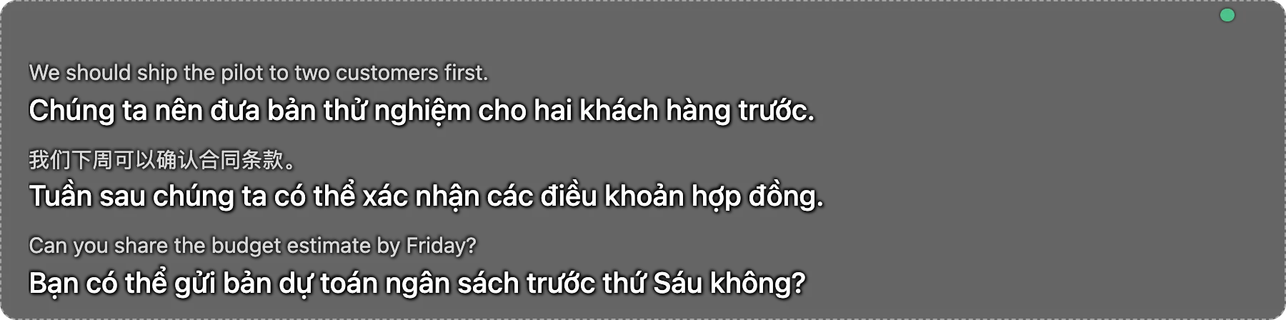 Thanh phụ đề của AI Translator hiện câu tiếng Anh và bản dịch tiếng Việt bên dưới